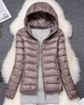 North - Waterproof Jacket