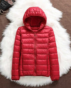 North - Waterproof Jacket