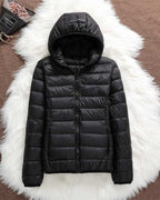 North - Waterproof Jacket